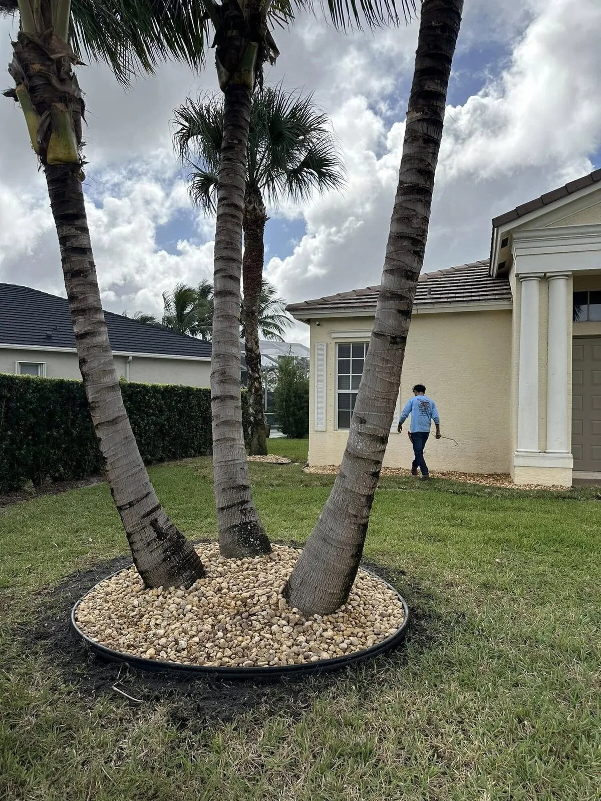 Rock ring around palms