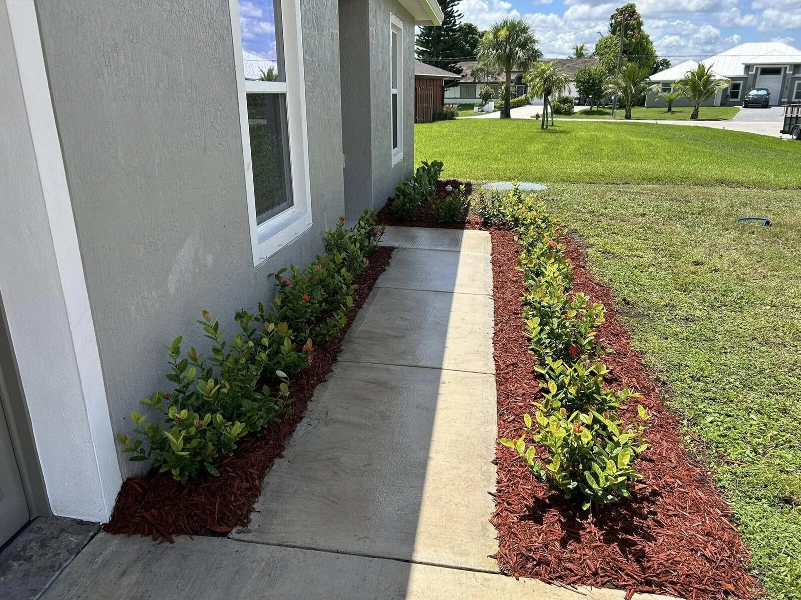 New plants along the walk