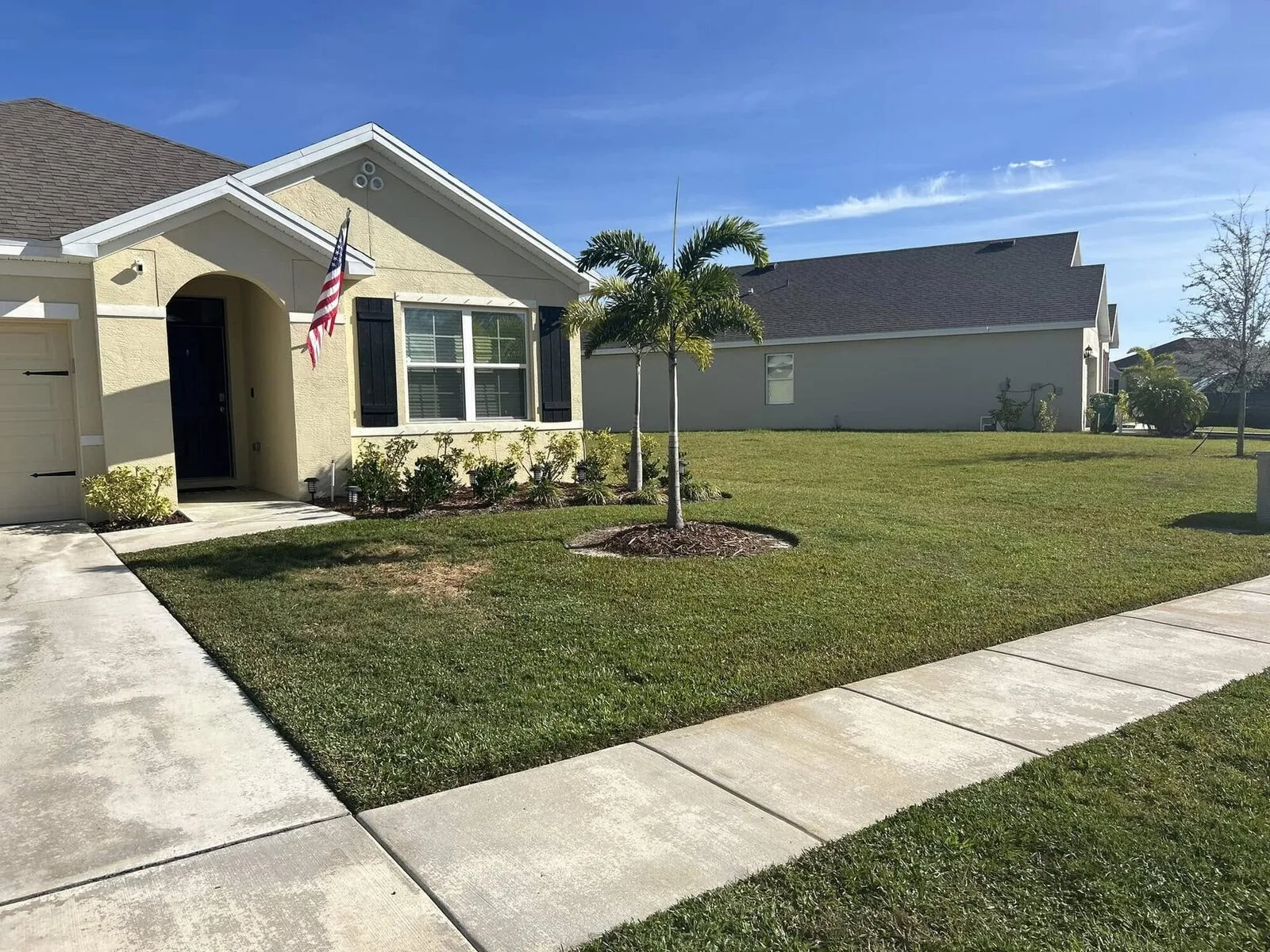 Lawn and palm out front
