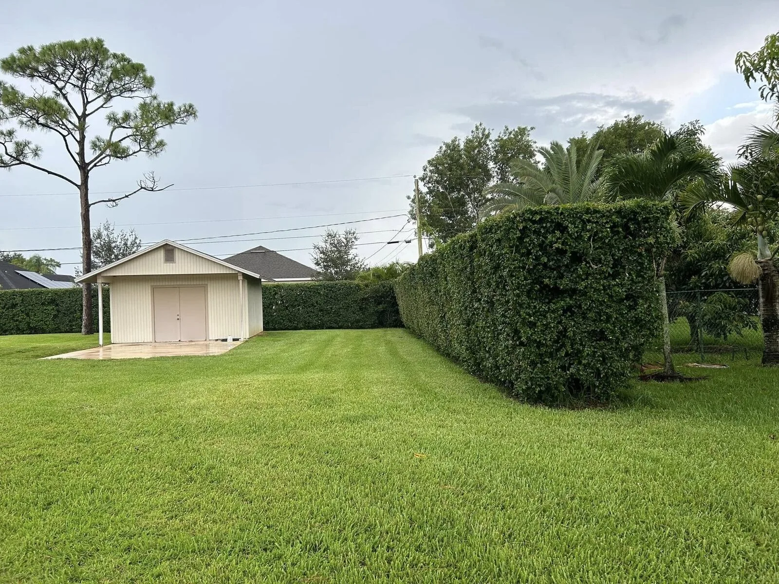 Trimmed hedge